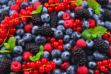Blackberry, raspberry, blueberry,  red currant and mint background.