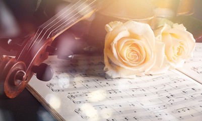 Violin with sheet music and white roses on black background