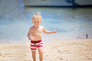 Sweet toddler boy, playing in shallow water on a tropical beach