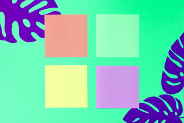 Creative layout made of monstera leaves and four colorful square framess with copy space