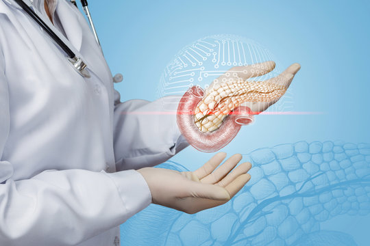 The doctor conducts a scan of the pancreas .