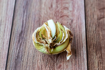 Rotten onions spoiled half. Damaged products, mold. Copy space for your text. Still life with vegetables
