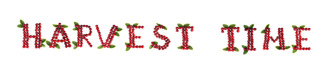 inscription Harvest Time Cherry Berry Isolate Text