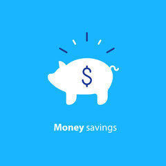 Financial investment, piggy bank money, future savings, budget fund