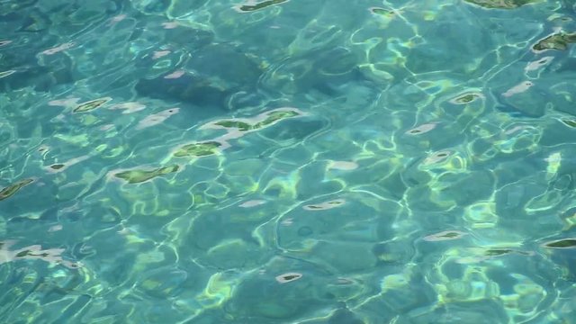 Emerald green sea ripples running on water surface