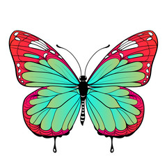 colourful butterfly on white background Vector art