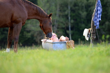 Badetag mit Pferd. Junge Frau liegt im Freien in einer alten Wanne, neben sich ein Pferd