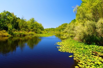 lake in longoz