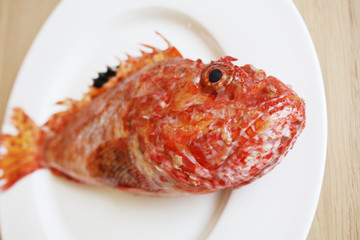 Red sea bass on the white plate.