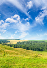 Fototapeta na wymiar Magnificent pasture landscape and blue sky