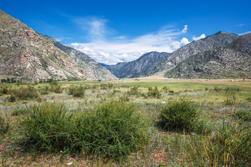 Landscape at Cardona Kur - Kechu. Altai Republic, Russia