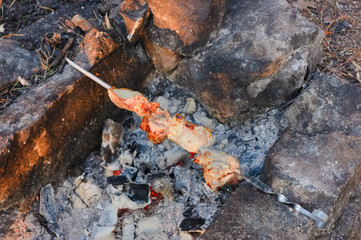 Shish kebab on skewers is fried on a brazier made of stones in the forest.