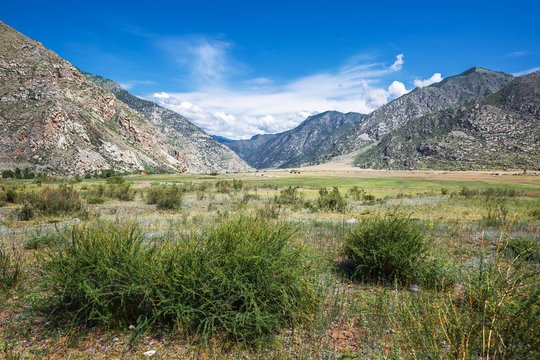 Landscape at Cardona Kur - Kechu. Altai Republic, Russia