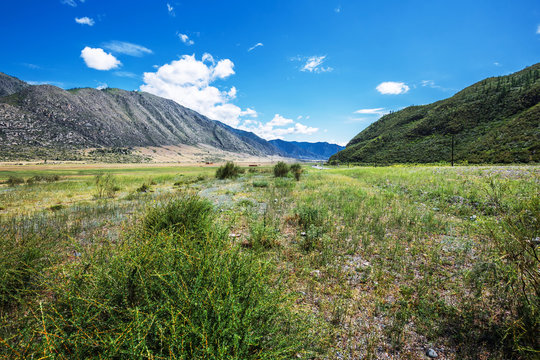 Landscape at Cardona Kur - Kechu. Altai Republic, Russia