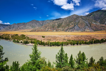 The River Katun. Gorny Altai, Russia