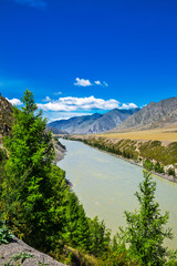 Fototapeta na wymiar The River Katun. Gorny Altai, Russia