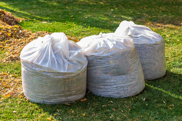 Pile of yellow and orange fallen leaves collected in big white plastic bags on green grass lawn at...