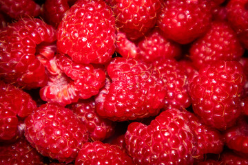 Fresh raw organic raspberries on a plate