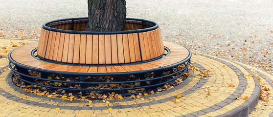 Modern wooden circle shaped bench installed around tree in city park or street covered with bright...