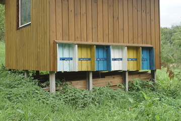 house with beehives