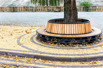 Modern wooden circle shaped bench installed around tree in city park or street covered with bright...