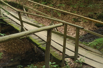 Fototapeta premium old wooden bridge in the forest