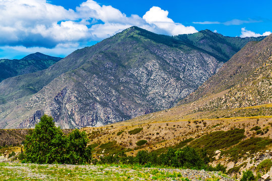 Landscape at Cardona Kur - Kechu. Altai Republic, Russia