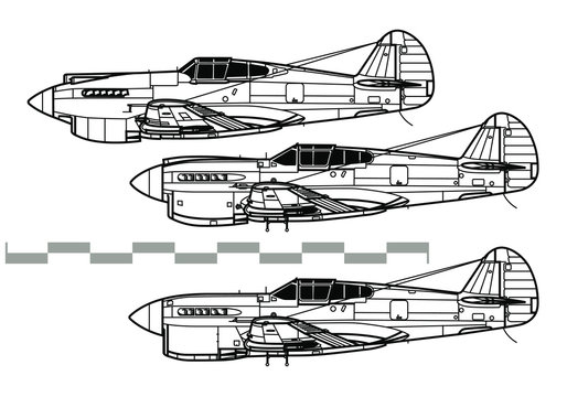Curtiss P-40 Warhawk. Outline vector drawing