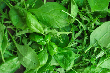 Healthy salad, leaves mix salad (mix micro greens, juicy snack). food background - Image