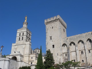 Fototapeta na wymiar Papal Palace Avignon