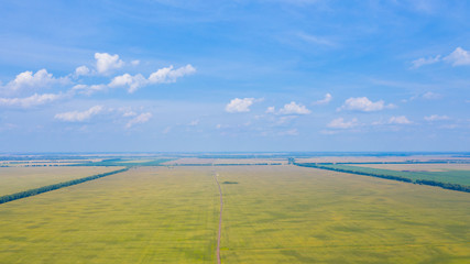 Aerial view of dirt roads