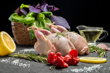 Fresh raw meat quails with herbs and greens rosemary, basil ready for cooking on close-up. Uncooked...