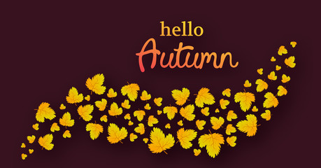 Autumn background with maple leaves