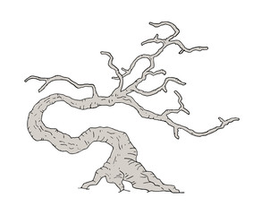 Design of mystery old tree