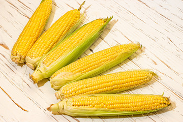Corn on a white background.