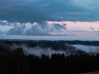 Forest and sky
