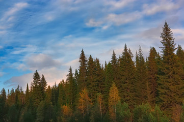 Sunset at the edge of the forest in the Ural Mountains in autumn.