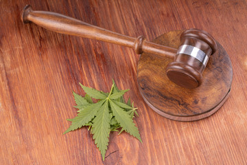 judge hammer and cannabis leaves on wooden background