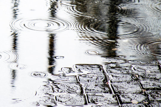 Detail of  rain drops in a puddle