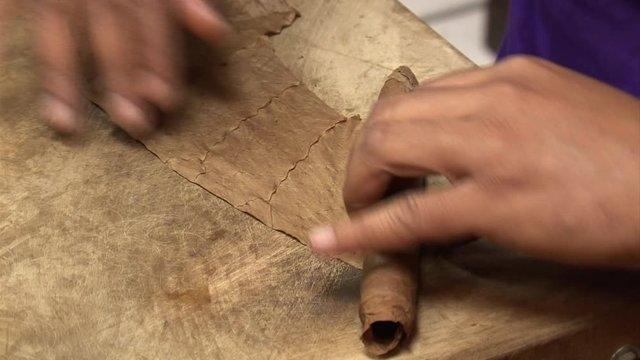 Hand rolling cigar in cigar factory-extreme close up-Miami-Calle Ocho-SW 8th Street-Cuban-American