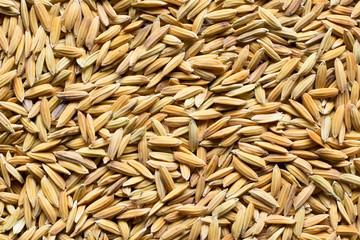 brown rice background