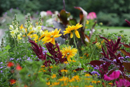Beautiful rich field flowers near the Hamburg Planetarium in Hamburg, Germany. 