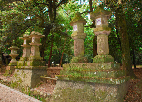 Stone lanterns in a shady forested area of Nara in Japan