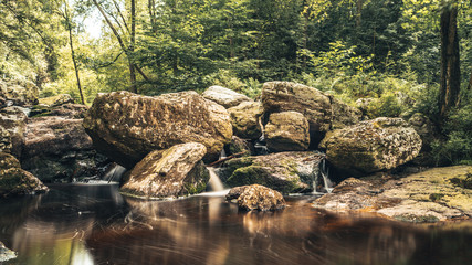 Vallée de la Hoëgne