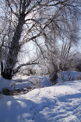 Winter landscape. Frost on the trees, blue sky, sunny day.