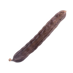 dried long carob pod isolated on white background