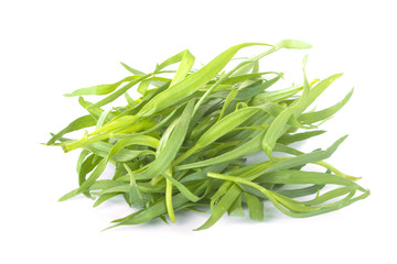 heap of tarragon leaves isolated on white background