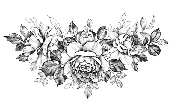 Hand Drawn Rose  Flowers Bunch