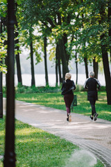 Obraz premium back view of mature sportsman and sportswoman jogging on pavement in park