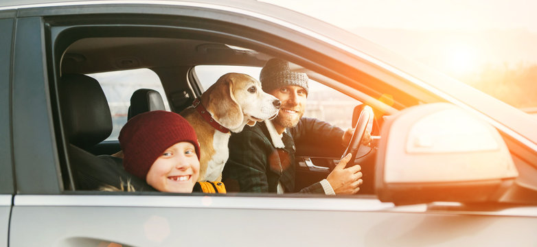 Father and son Family traveling by car with beagle dog. They are smiling to camera fixed with safety belts.